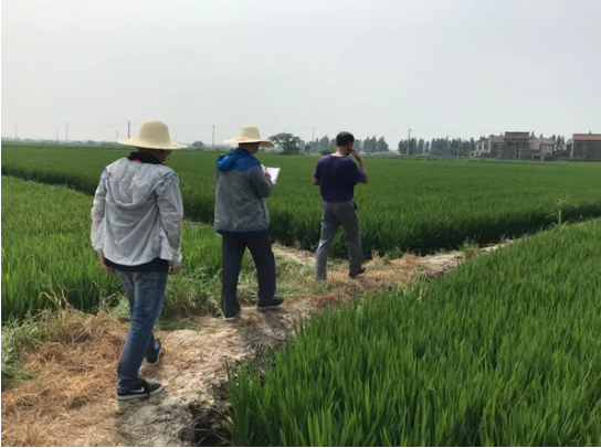 1598842602(1).png 1598842602(1).png