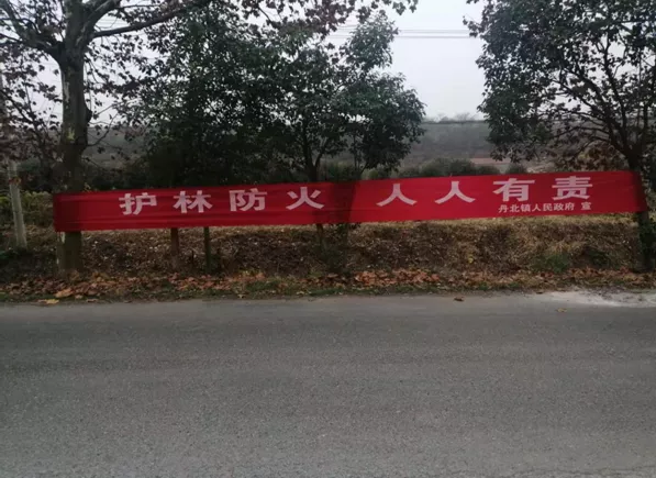 1606805308(1).png 1606805308(1).png