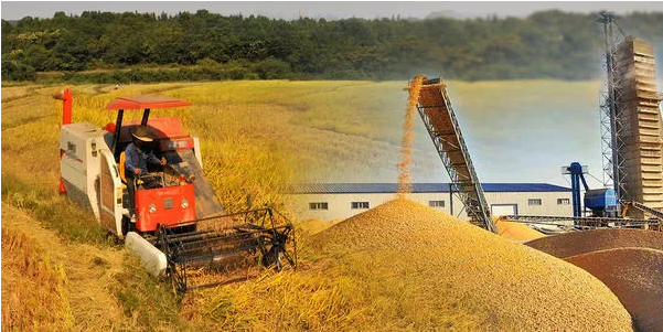 1606807840(1).jpg 1606807840(1).jpg