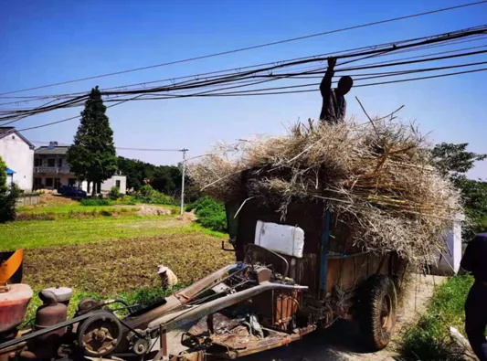 1_看图王.jpg 1_看图王.jpg