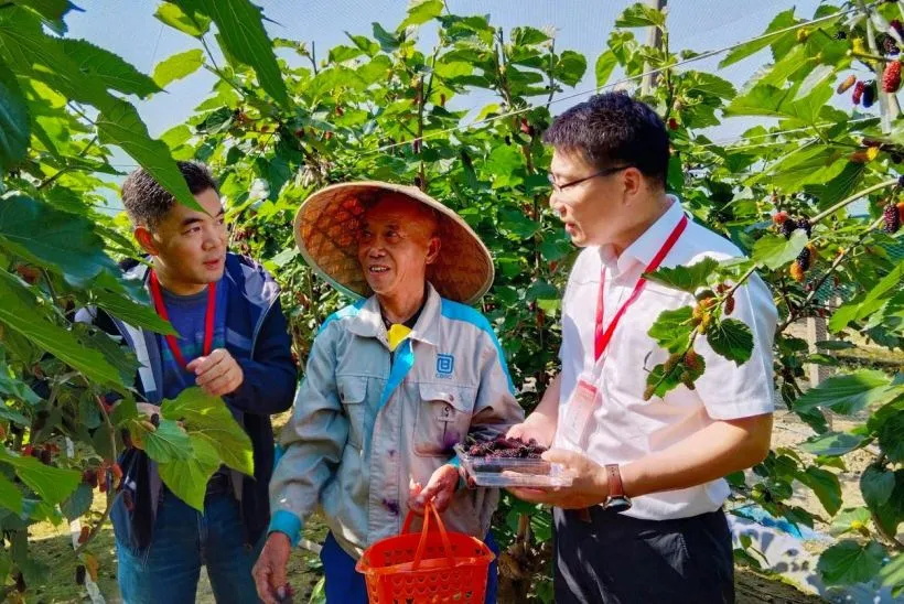 2_看图王.jpg 2_看图王.jpg